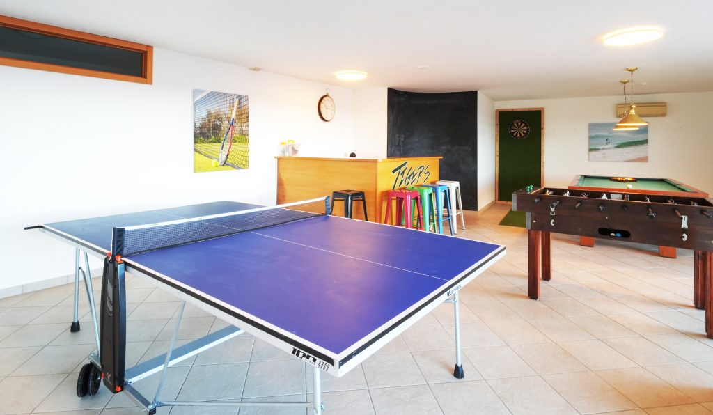 G Estevas Games room table tennis