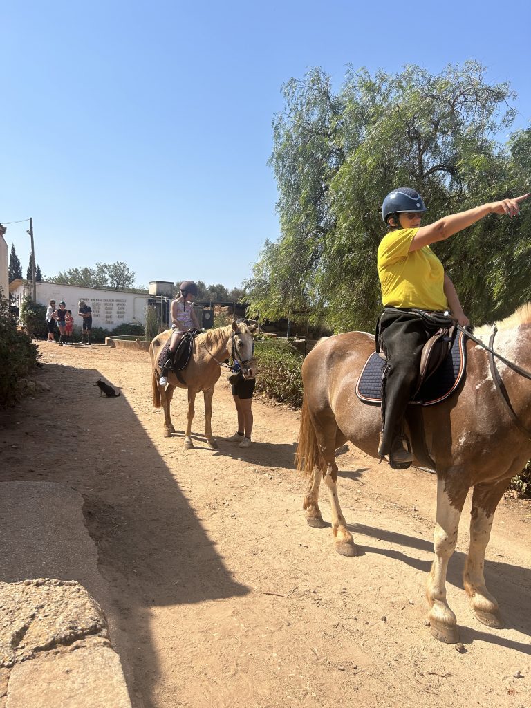 Discover the Algarve on Horseback