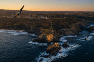 ~Sagres birdwatching festival with Simply Salema